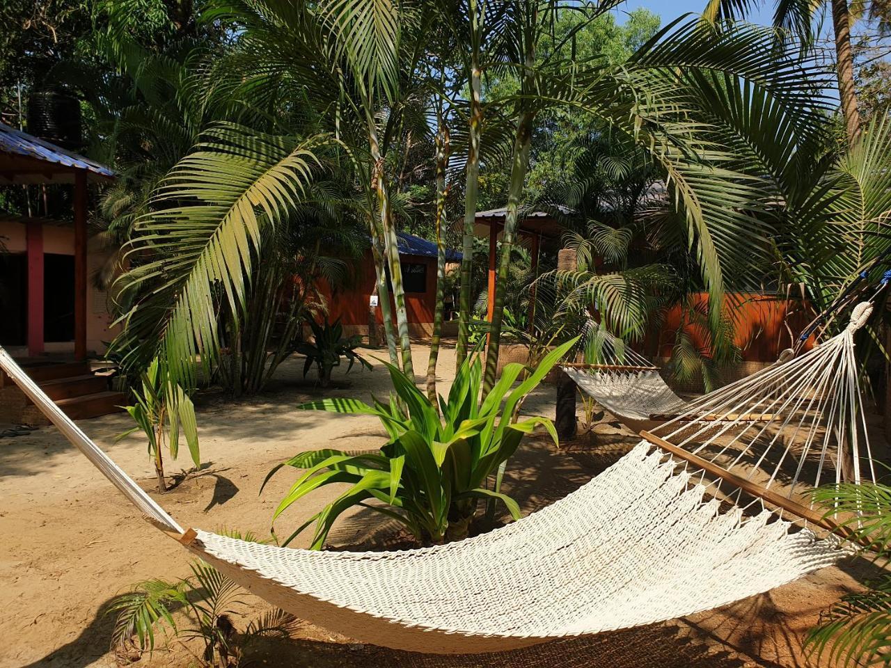 Palm Forest Palolem Buitenkant foto